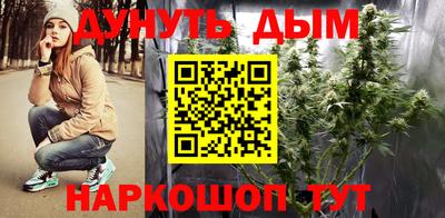 apvp Кунгур