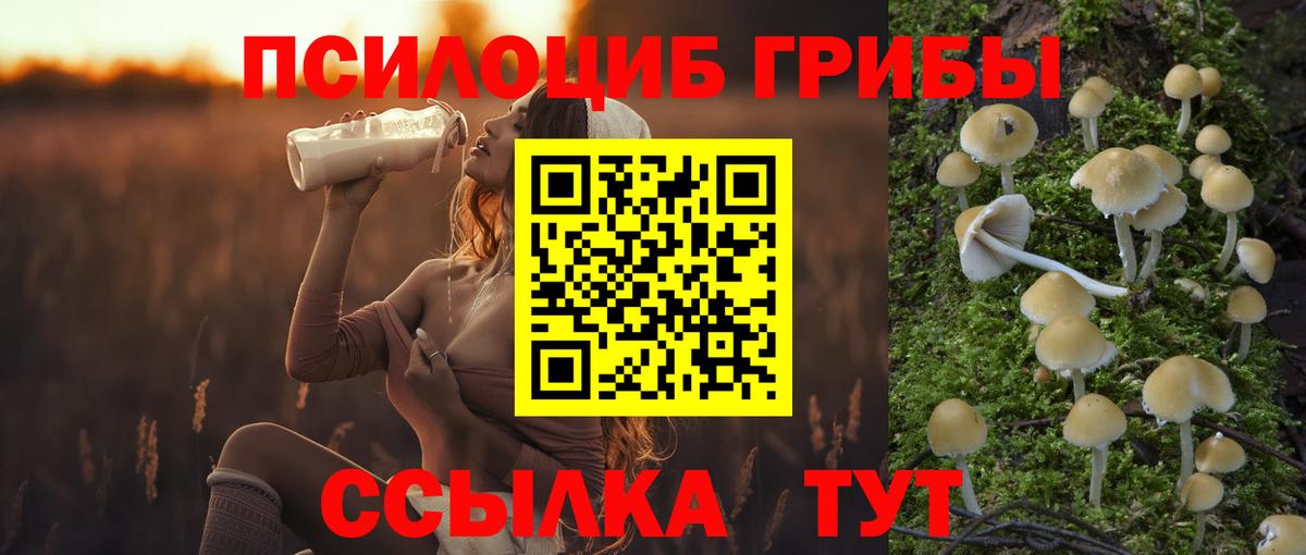 Псилоцибиновые грибы GOLDEN TEACHER Южноуральск